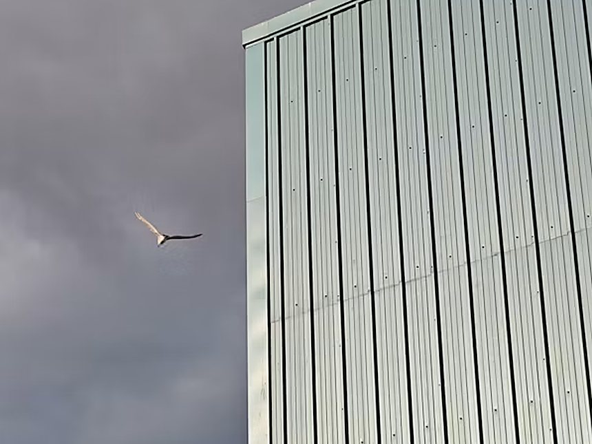 Vertical metal cladding on a large building envelope under a dark sky